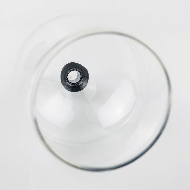 Heat-Resistant Glass Wine Dispenser 100 ml | Modern Minimalist, Drip-Free